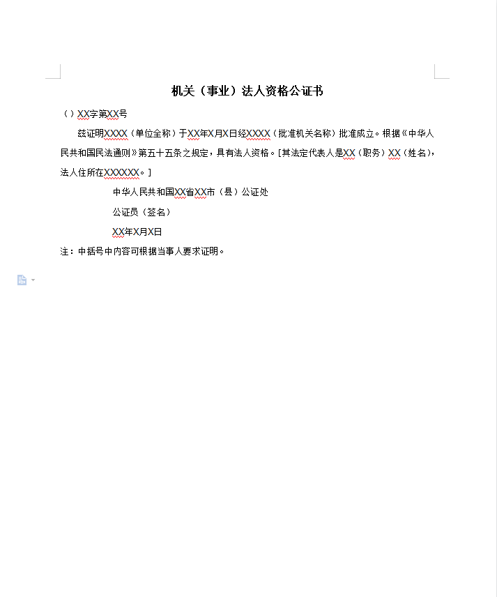 机关（事业）法人资格公证书