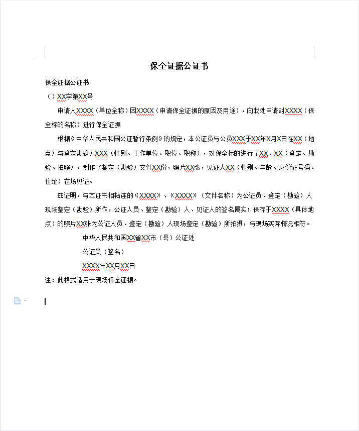 保全证据公证书