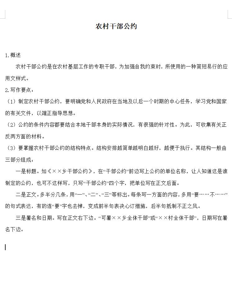 农村干部公约